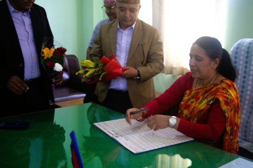 IMG 3917